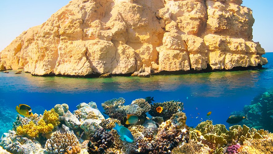 parque-nacional-ras-muhammad-4