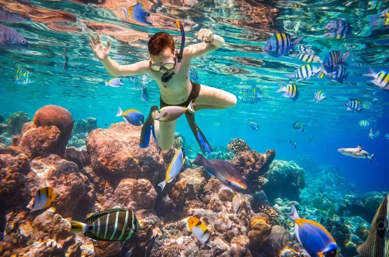 463241350-Ras-Mohammed-Snorkeling
