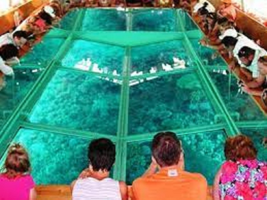 Glass-bottom-boat-excursion-in-Sharm-El-Sheikh4