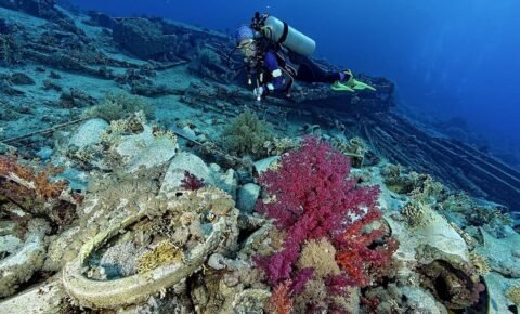 ras-mohamme-diving03-480x290